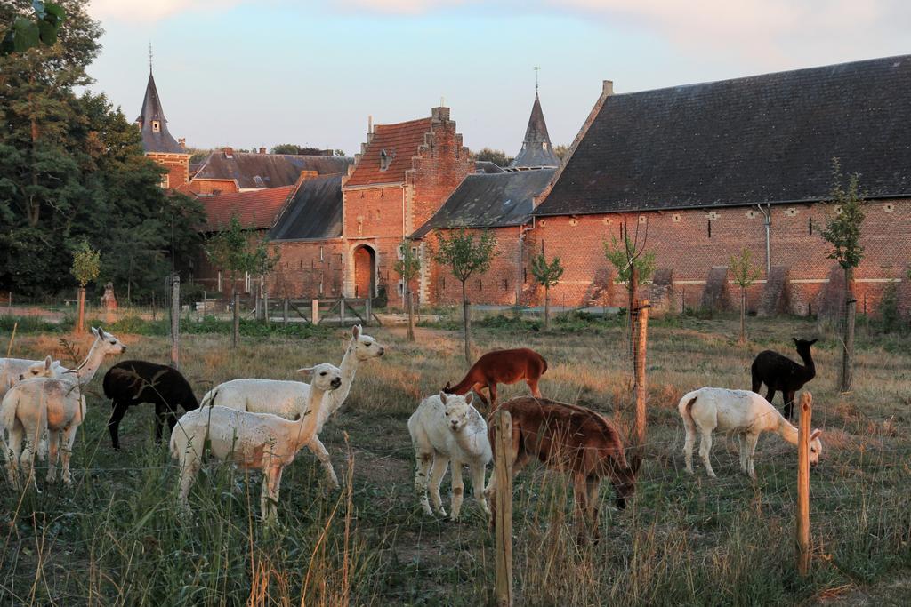 Kasteel Nieuwenhoven Apartamento Sint-Truiden Exterior foto